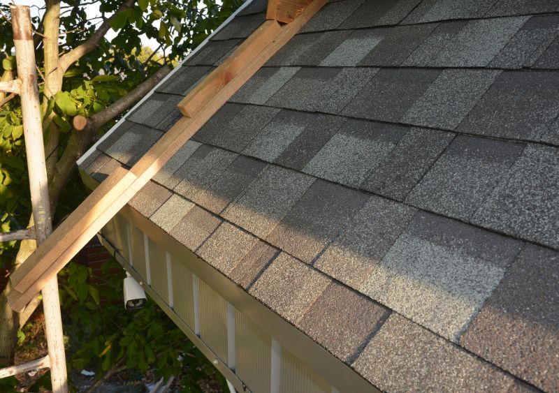 Common Signs You Need Asphalt Shingle Roof Repair