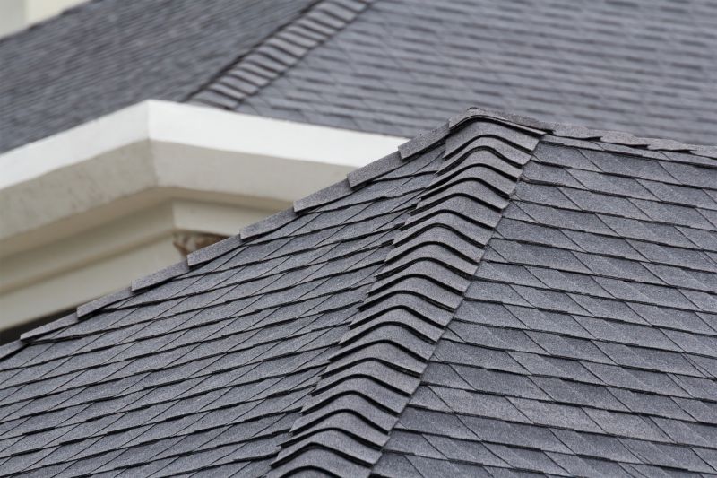 Specialized Roofing Companies